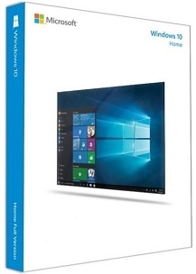 HĐH Microsoft Windows Home 10 64Bit Eng Intl 1pk DSP OEI DVD