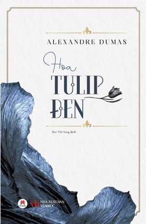 Hoa Tulip Đen