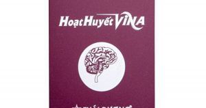 Hoạt huyết Vina 60 viên