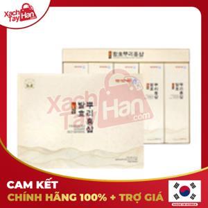 Hồng sâm củ tẩm mật ong Dongjin Pharmacy 10 củ - 220 g