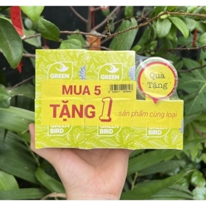 Hộp 6 hũ nước yến sào chưng đường phèn Green Bird 72g