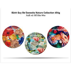 Hộp bánh qui bơ Danesita 454g