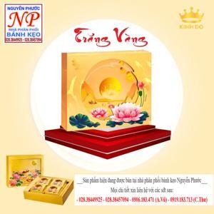 Hộp bánh trung thu Kinh đô Trăng vàng Hồng Ngọc Vàng 4 bánh