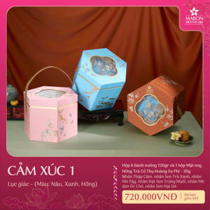 Hộp bánh trung thu Maison Cảm xúc 6 bánh