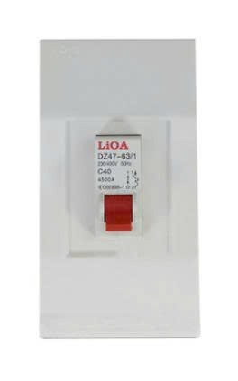 Hộp chứa 1 MCB Lioa SE4CC1