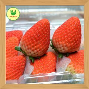 Hộp dâu tây Hàn Quốc 330g