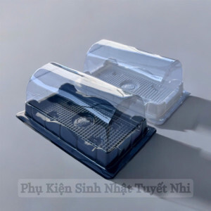 Hộp nhựa chữ nhật H19 - Set 100 hộp