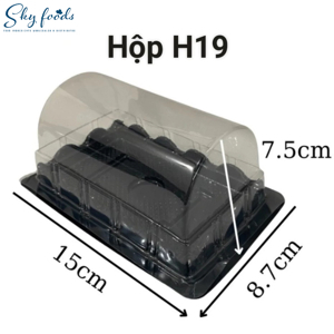 Hộp nhựa chữ nhật H19 - Set 100 hộp