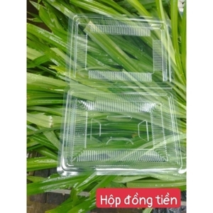 Hộp nhựa chữ nhật H50