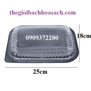 Hộp nhựa đậy chữ nhật đế đen HT203
