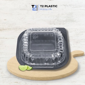 Hộp nhựa HT12 - 100 cái