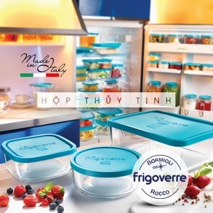 Hộp thủy tinh vuông Frigoverre  240ml (10 x 10)