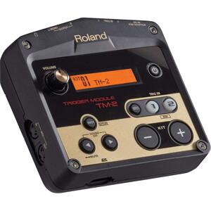 Hộp tiếng trống Roland TM-2