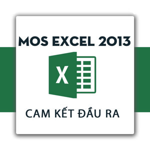 Hướng dẫn tự học Microsoft Excel 2013