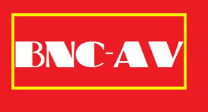 Jack chuyển đổi từ BNC sang AV