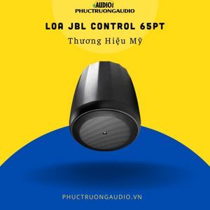 Loa JBL Professional Control 65P/T