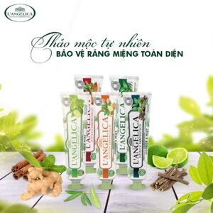 Kem đánh răng thảo dược dành cho trẻ em L'angelica Toothpaste Junior 50ml