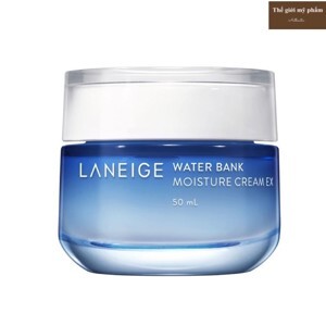 Kem dưỡng ẩm chuyên sâu Laneige Water Bank Moisture Cream EX