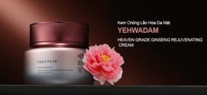 Kem dưỡng chống lão hóa da The Face Shop Yehwadam Heaven Grade Ginseng Rejuvenating Cream 50ml