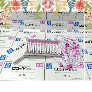 Kem trị muỗi đốt Rokoito Locoid Ointment 5g