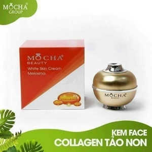 Kem trị nám Face Collagen tảo non Mocha