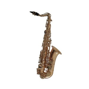 Kèn saxophone Selmer AS655