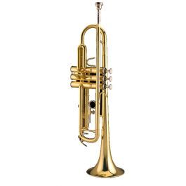 Kèn Selmer TR650S