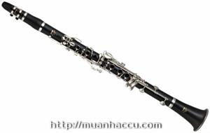 Kèn Yamaha Clarinet YCL-250