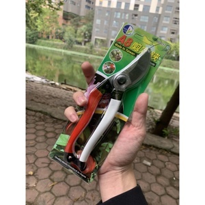 Kéo Buddy BD017
