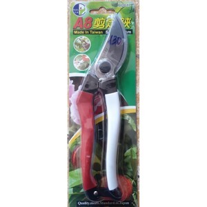 Kéo Buddy BD017