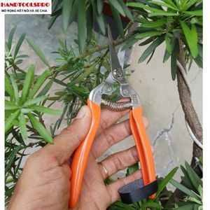 Kéo cắt cành Buddy BD024
