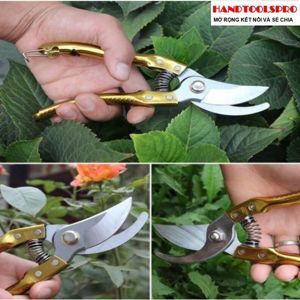 Kéo cắt cành Top 120323-PSG