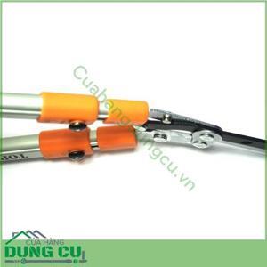 Kéo cắt cỏ hàng rào cao cấp Top TGH-06001VN