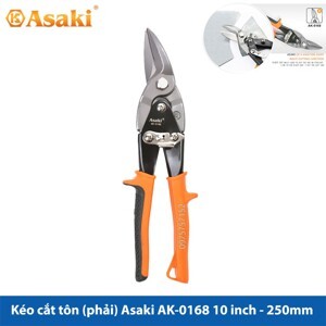 Kéo cắt trái tole Asaki 10”/250mm AK-0168