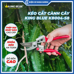 Kéo KingBlue KB004-S8