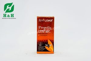 Keo ong Spring Leaf Propolis Liquid 40% Alcohol Free - 25ml