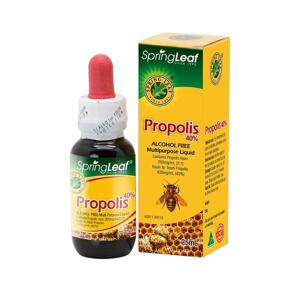 Keo ong Spring Leaf Propolis Liquid 40% Alcohol Free - 25ml