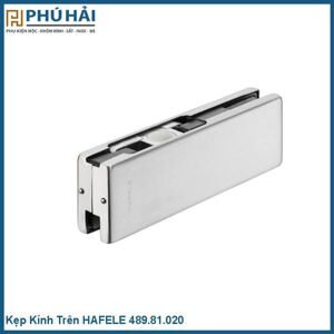 Kẹp kính trên inox mờ Hafele 489.81.020