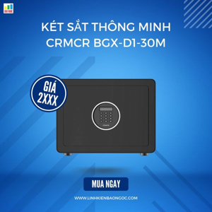 Két sắt điện tử thông minh CRMCR BGX-D1-30M