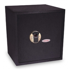 Két sắt vân tay ADEL FP2.0