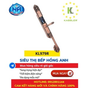 Khóa cửa đại sảnh KL-979R APP