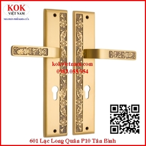 Khóa cửa đi TD Trung Dũng 607607