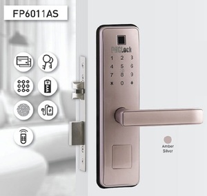 Khóa cửa điện tử PHGLock FP6011