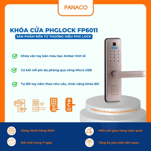 Khóa cửa điện tử PHGLock FP6011