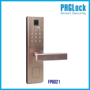 Khóa cửa điện tử PHGLock FP6021