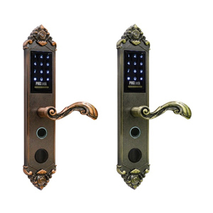 Khóa cửa điện tử PHGLock FP6135