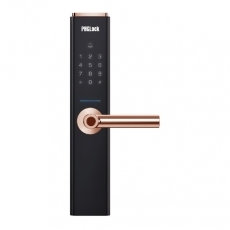 Khóa cửa điện tử PHGLock FP6601
