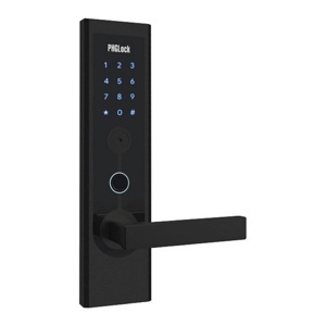 Khóa cửa điện tử PHGLock FP8131