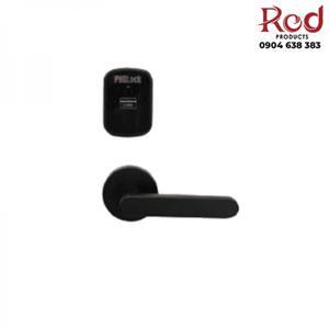Khóa cửa điện tử PHGLock RF2116