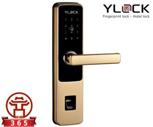 Khóa cửa điện tử thông minh YLOCK YL-8870-G